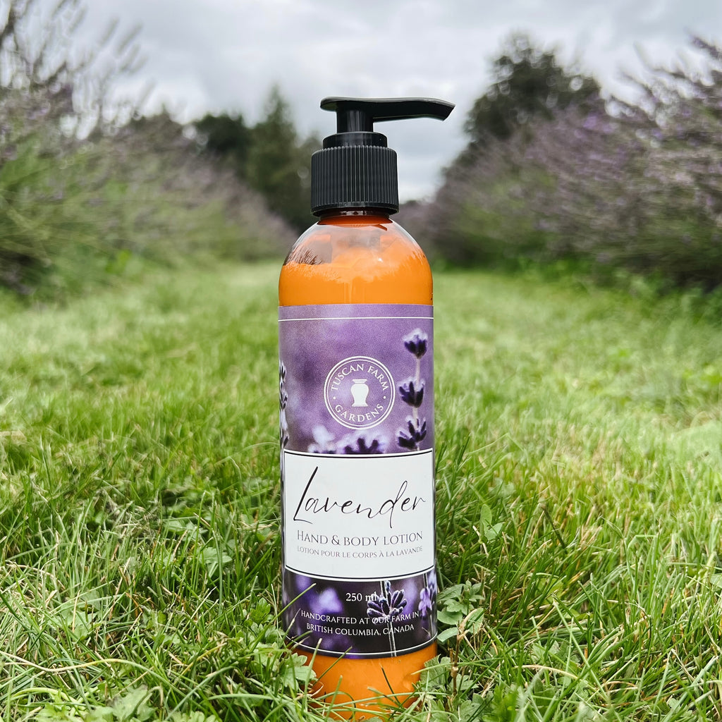 lavender and cotton flower lotion Lavender Body Lotion – Tuscan Farm Gardens