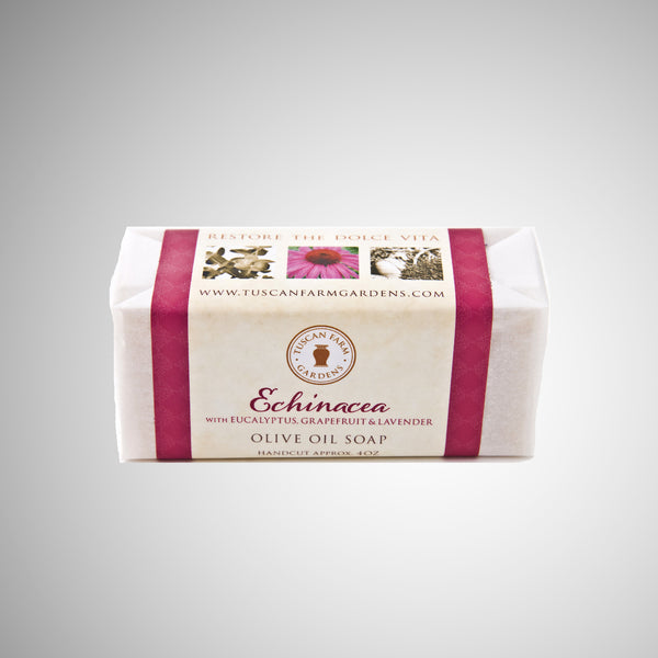 echinacea benefits jpeg