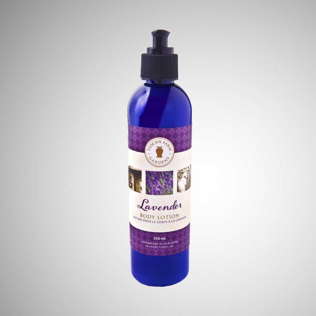 lavender body lotion pic